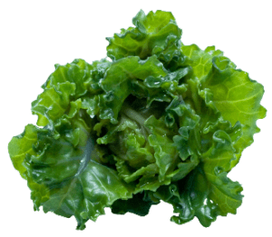 Kale Recipe