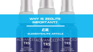 Why is Zeolite important?