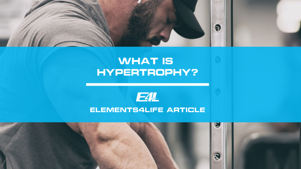 What is hypertrophy muscle growth | Elements4Life