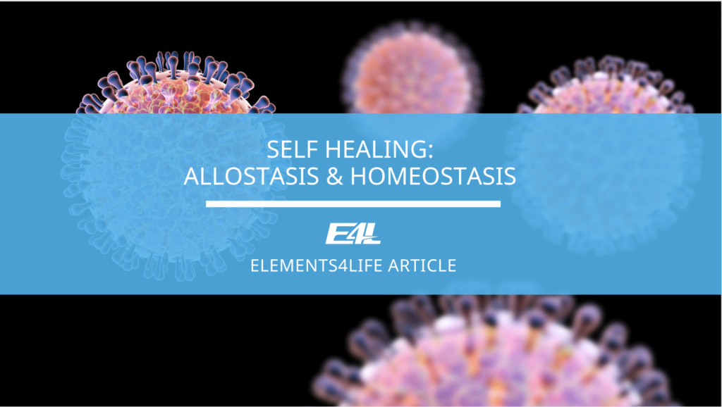 Self Healing: Allostasis & Homeostasis | Elements4Life