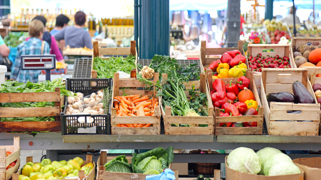 A Guide to Canberra’s Top Farmers Markets for Fresh and Organic Produce