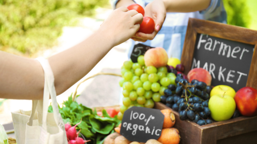 A Guide to Canberra’s Top Farmers Markets for Fresh and Organic Produce