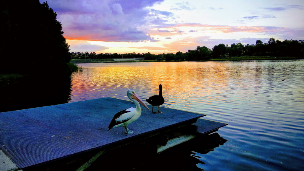 Top 10 Canberra Parks for Families: Kid-Friendly Playgrounds