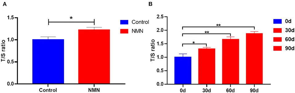 Benefits of Nicotinamide Mononucleotide (NMN): Telomere Length and NMN