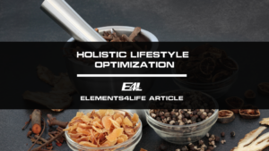 Holistic Lifestyle Optimization