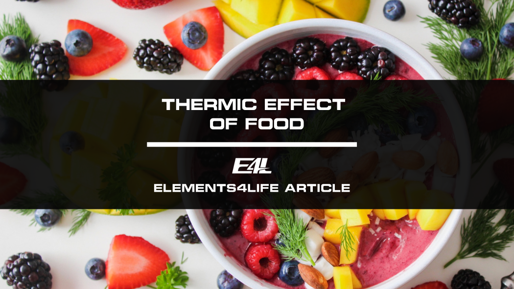 The Thermic Effect of Food Boosting Metabolism Through Diet