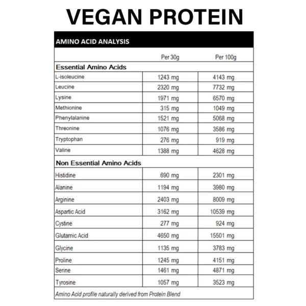 Rapid Vegan 1KG (Vanilla) - Image 3